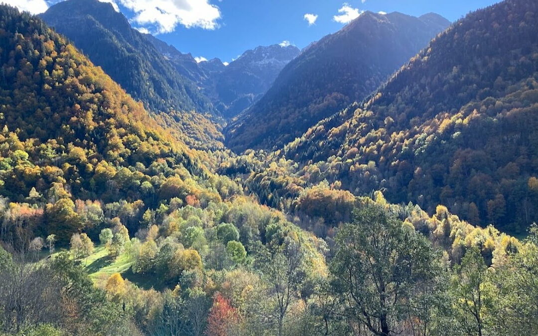 Val d'Aran en otoño, ciclo de las estaciones que trae la vida
