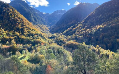 El ritmo trae la vida
