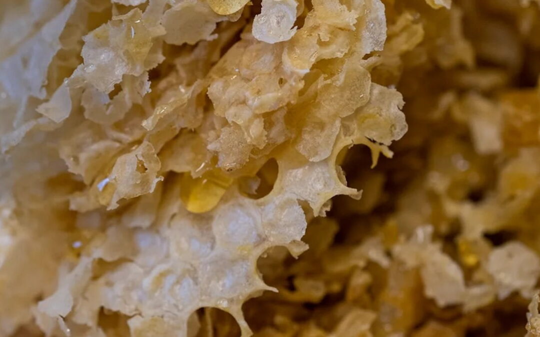 Mitos sobre cosmética natural: la cera de abejas como ingrediente natural no vegano